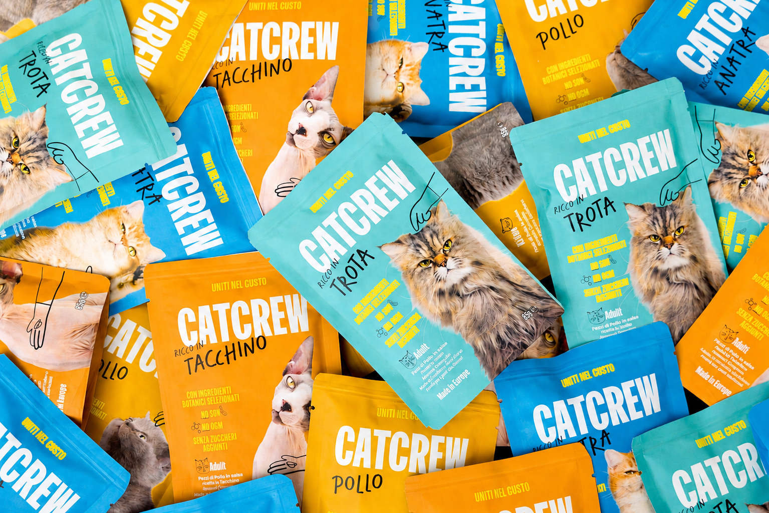 Il gatto beve poco: perché succede e cosa fare