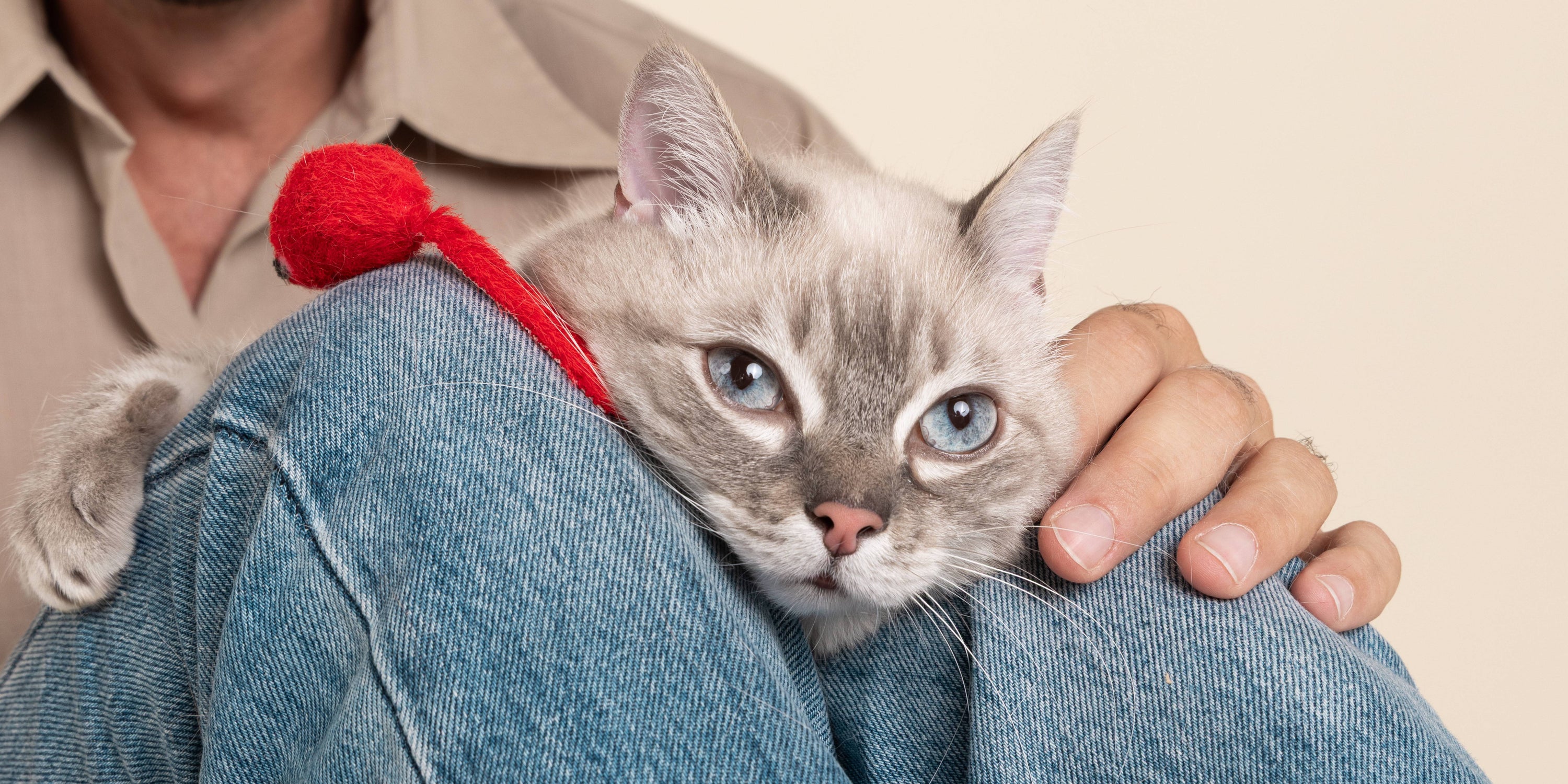 Il mio gatto è schizzinoso?