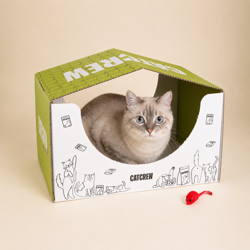 Box